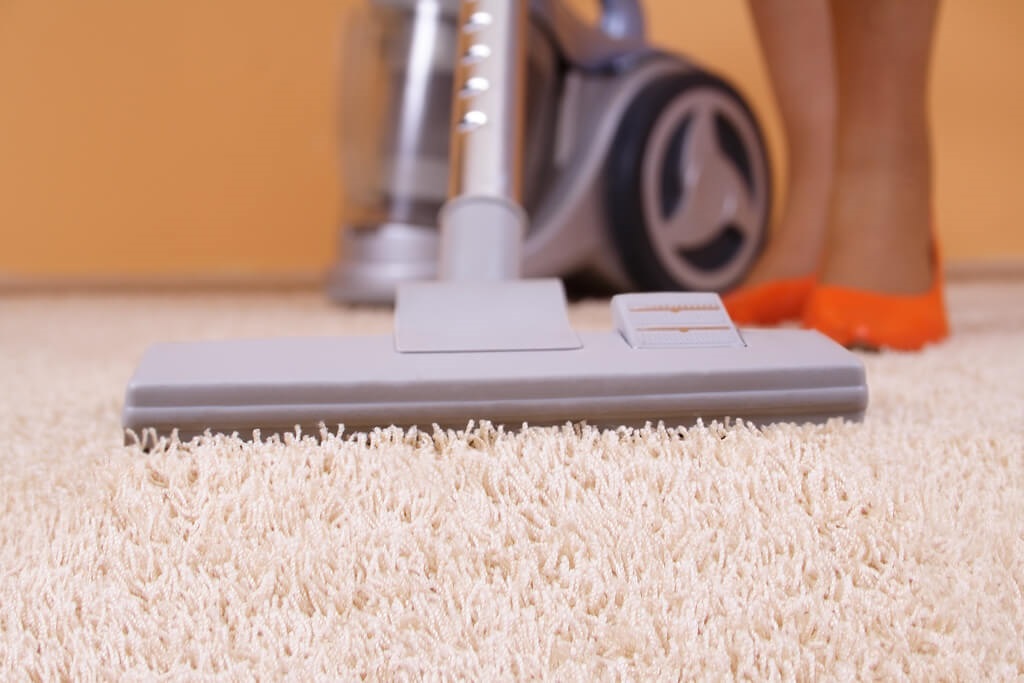 Read more about the article Carpet Maintenance Tips
